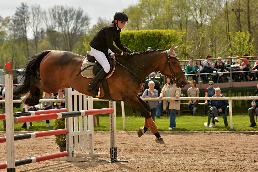 Skoková soutěž stupně „ZL“, bez rozeskakování