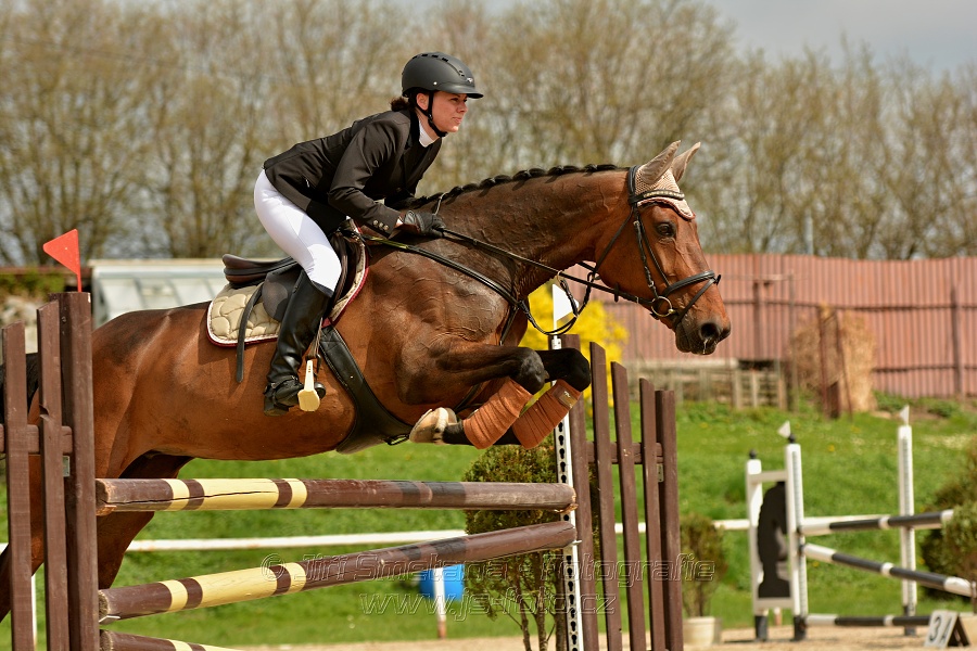 Skoková soutěž stupně „ZL“, bez rozeskakování