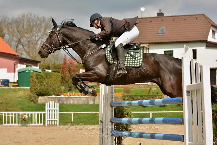 Skoková soutěž stupně „ZL“, bez rozeskakování