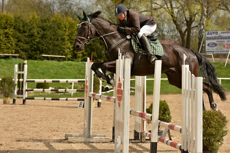 Skoková soutěž stupně „ZL“, bez rozeskakování