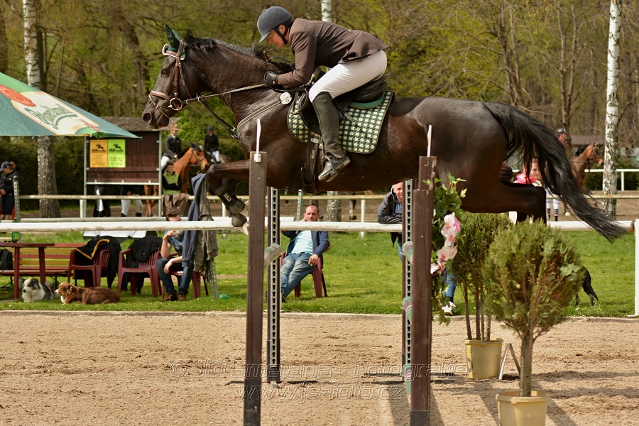 Skoková soutěž stupně „ZL“, bez rozeskakování
