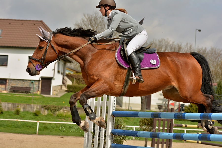Skoková soutěž stupně „ZL“, bez rozeskakování