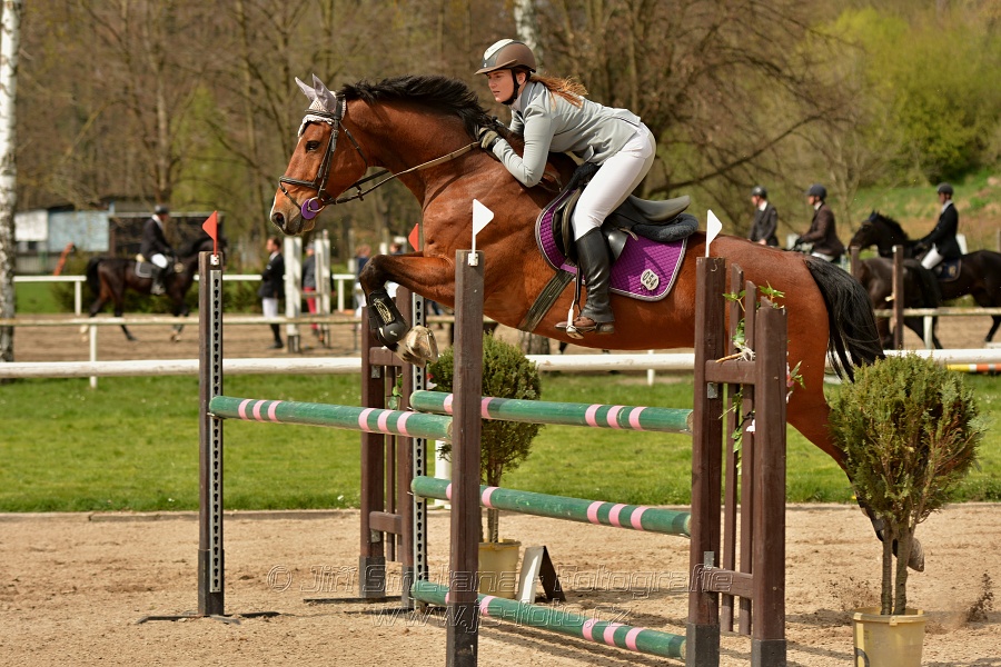 Skoková soutěž stupně „ZL“, bez rozeskakování