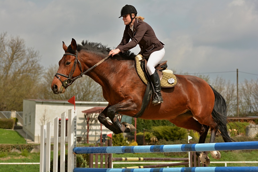 Skoková soutěž stupně „ZL“, bez rozeskakování