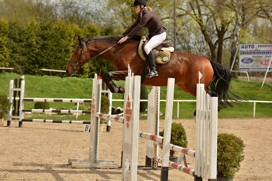 Skoková soutěž stupně „ZL“, bez rozeskakování