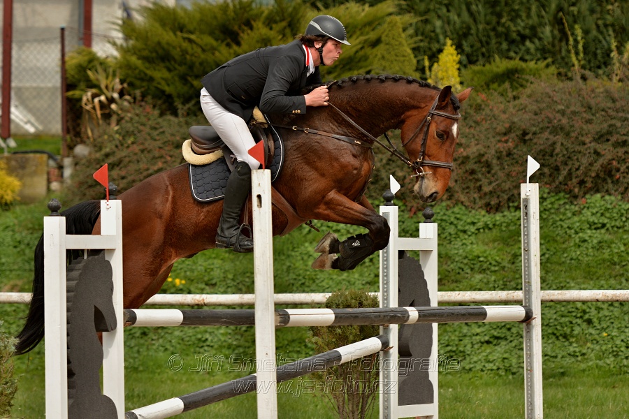 Skoková soutěž stupně „ZL“, bez rozeskakování