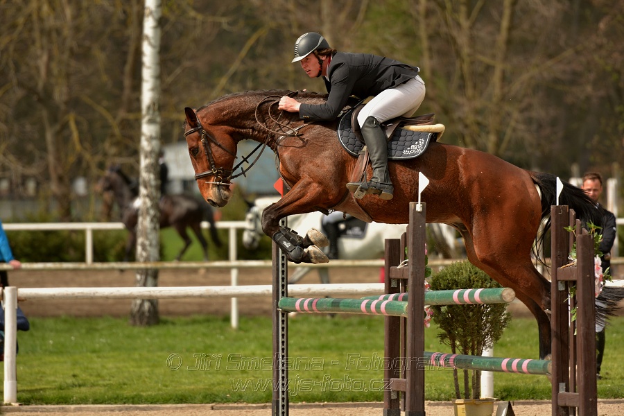 Skoková soutěž stupně „ZL“, bez rozeskakování