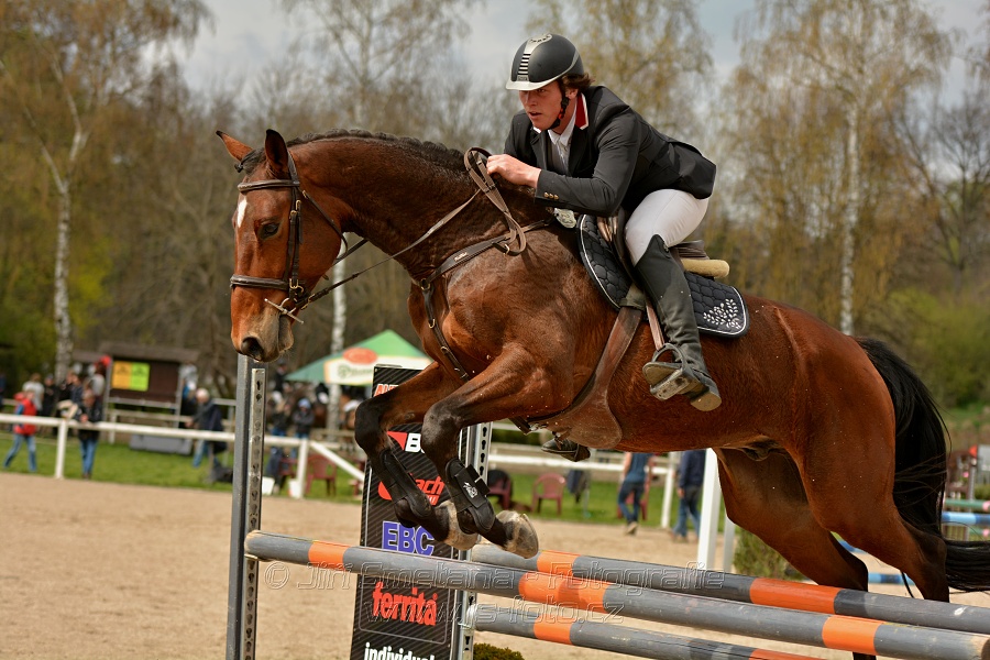 Skoková soutěž stupně „ZL“, bez rozeskakování