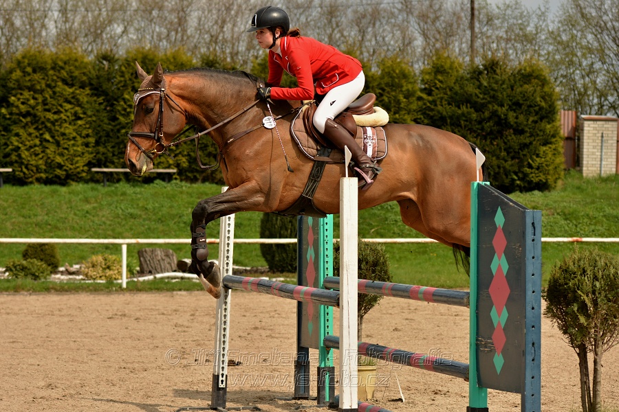 Skoková soutěž stupně „ZL“, bez rozeskakování