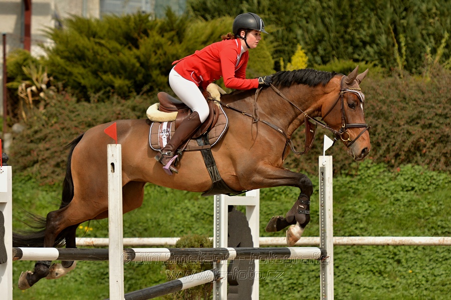 Skoková soutěž stupně „ZL“, bez rozeskakování