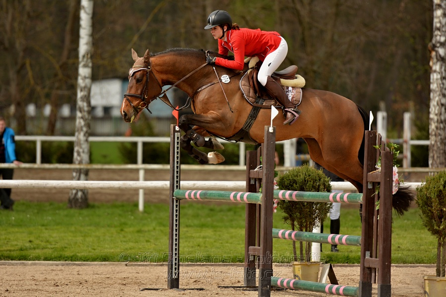 Skoková soutěž stupně „ZL“, bez rozeskakování