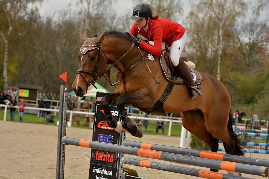 Skoková soutěž stupně „ZL“, bez rozeskakování