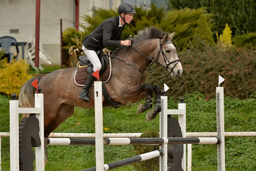 Skoková soutěž stupně „ZL“, bez rozeskakování