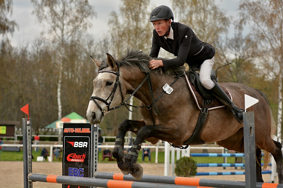 Skoková soutěž stupně „ZL“, bez rozeskakování