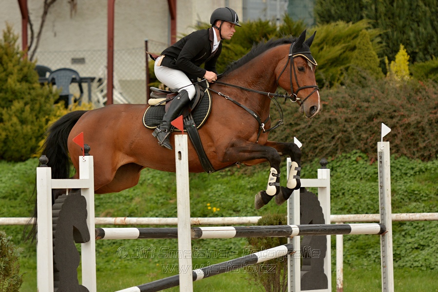 Skoková soutěž stupně „ZL“, bez rozeskakování