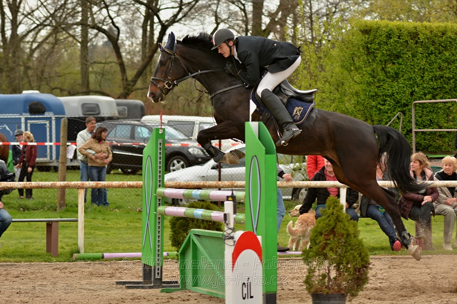 Skoková soutěž stupně „ZL“, bez rozeskakování