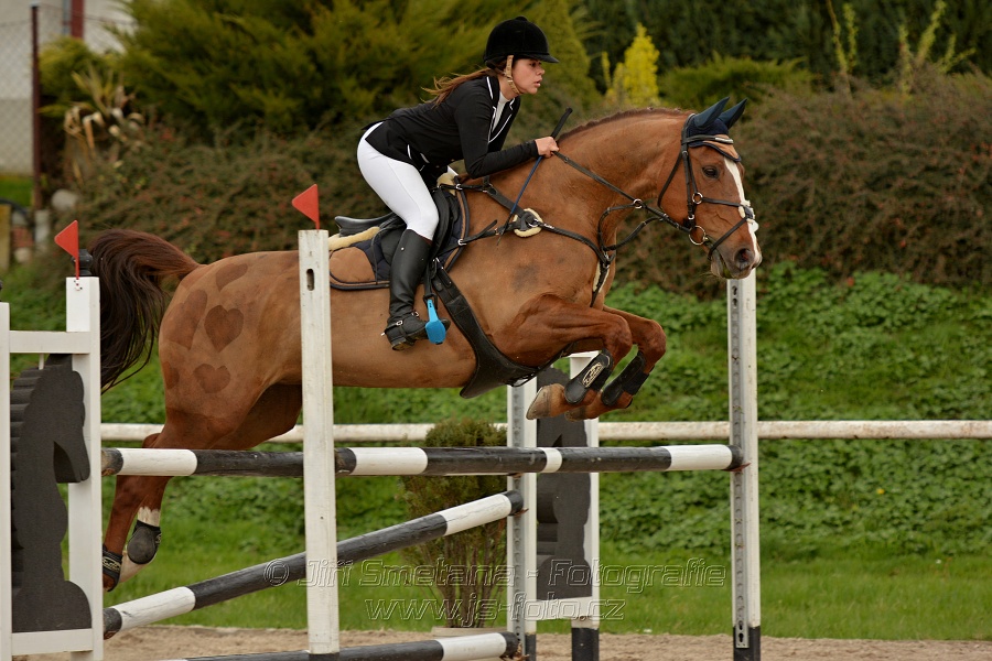 Skoková soutěž stupně „ZL“, bez rozeskakování
