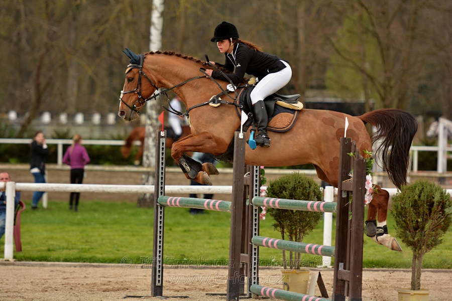 Skoková soutěž stupně „ZL“, bez rozeskakování