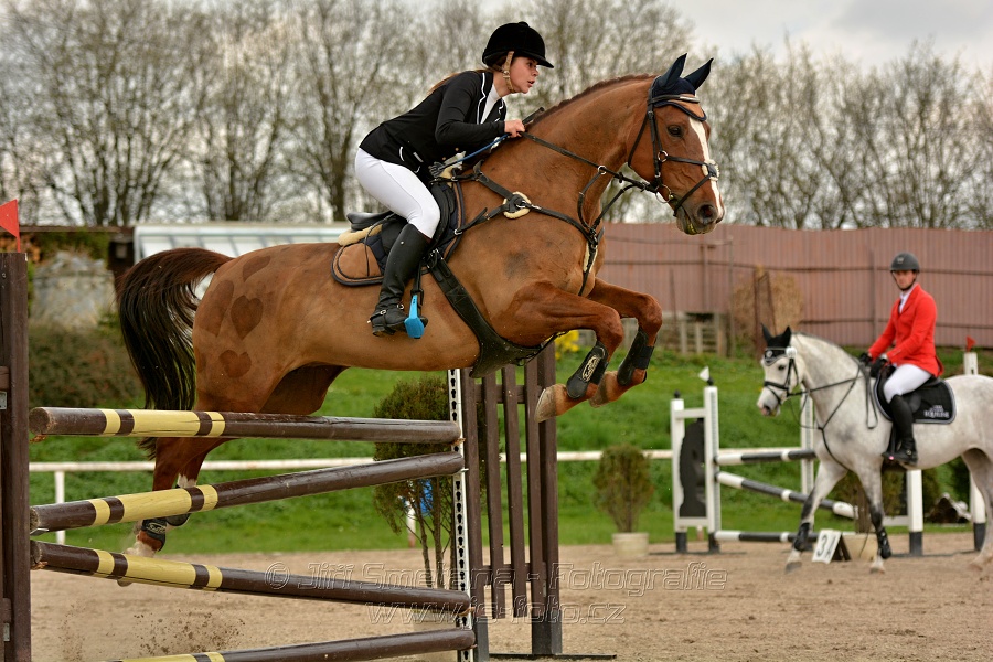 Skoková soutěž stupně „ZL“, bez rozeskakování