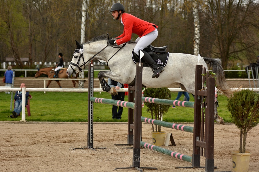 Skoková soutěž stupně „ZL“, bez rozeskakování