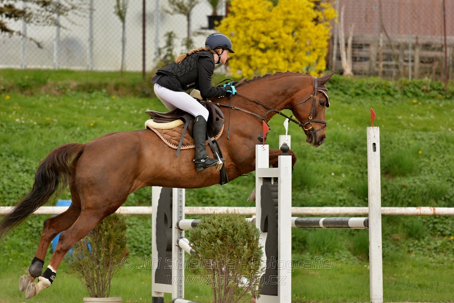 Skoková soutěž stupně „ZL“, bez rozeskakování