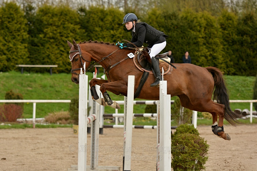 Skoková soutěž stupně „ZL“, bez rozeskakování
