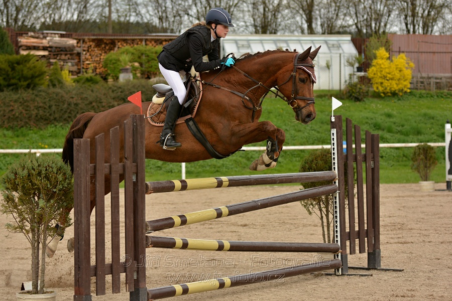 Skoková soutěž stupně „ZL“, bez rozeskakování