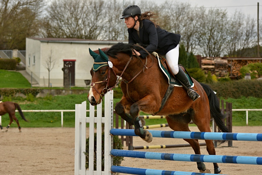 Skoková soutěž stupně „ZL“, bez rozeskakování