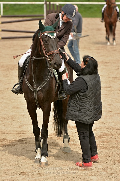 Skoková soutěž stupně „ZL“, bez rozeskakování