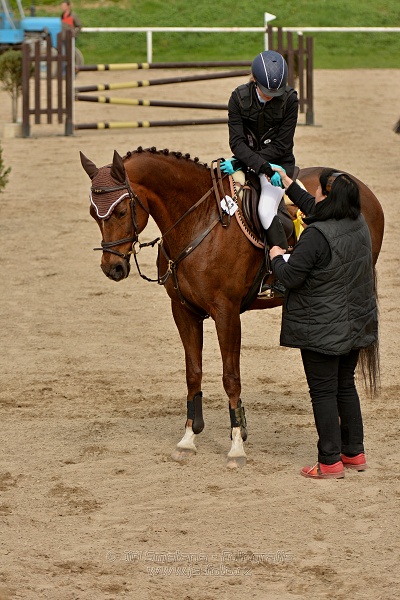 Skoková soutěž stupně „ZL“, bez rozeskakování