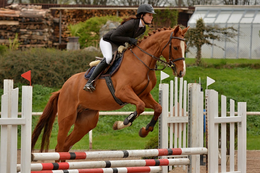 Skoková soutěž „Stupňovaná obtížnost do 100 cm“