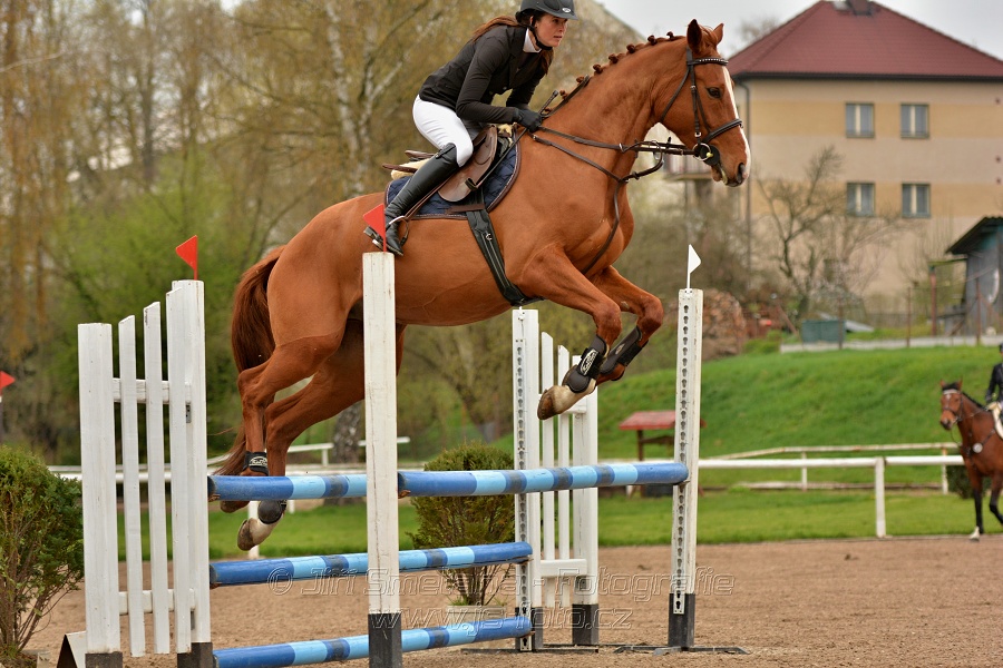 Skoková soutěž „Stupňovaná obtížnost do 100 cm“