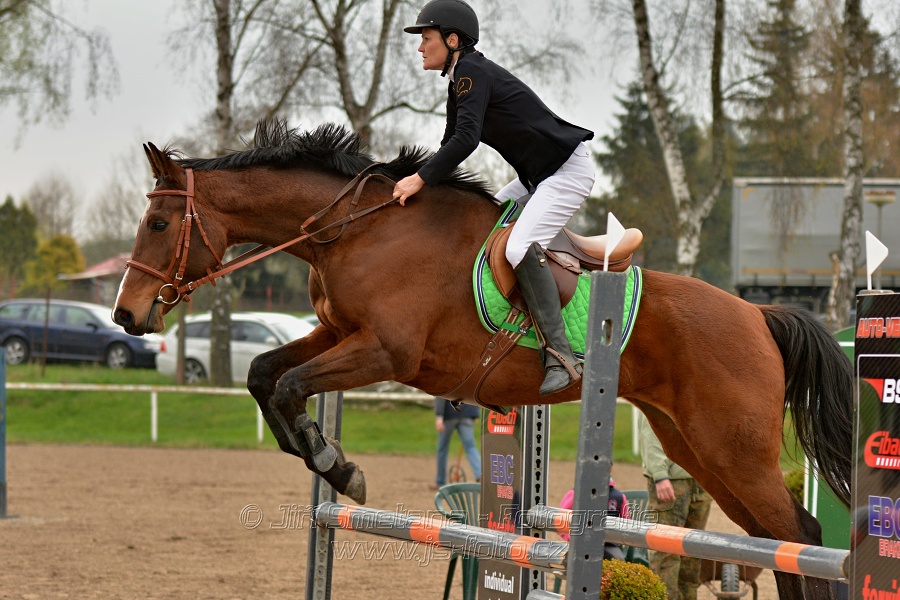 Skoková soutěž „Stupňovaná obtížnost do 100 cm“