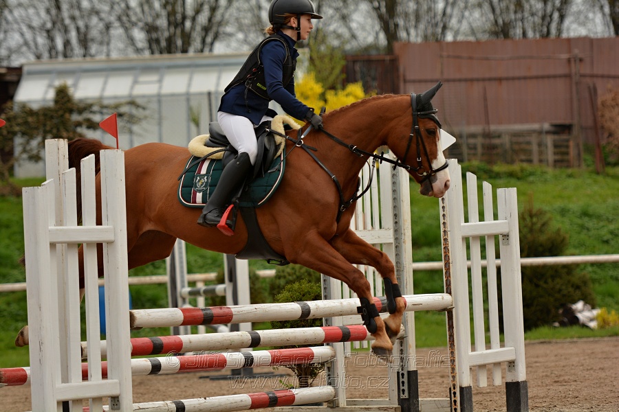 Skoková soutěž „Stupňovaná obtížnost do 100 cm“