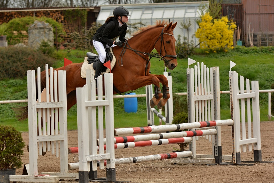 Skoková soutěž „Stupňovaná obtížnost do 100 cm“