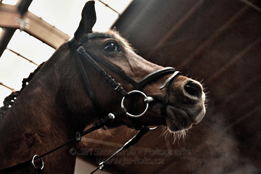 Hobby závody do 80 cm