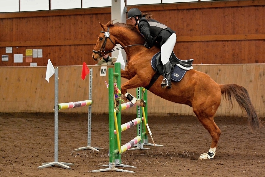 Skoková soutěž stupně 