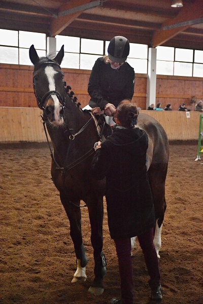 Skoková soutěž stupně 