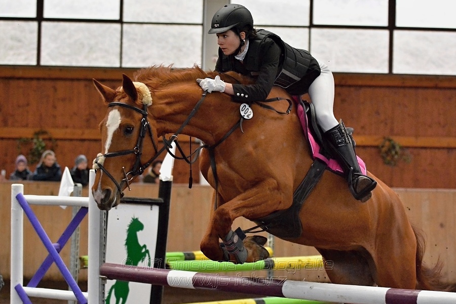 Skoková soutěž stupně „ZL“