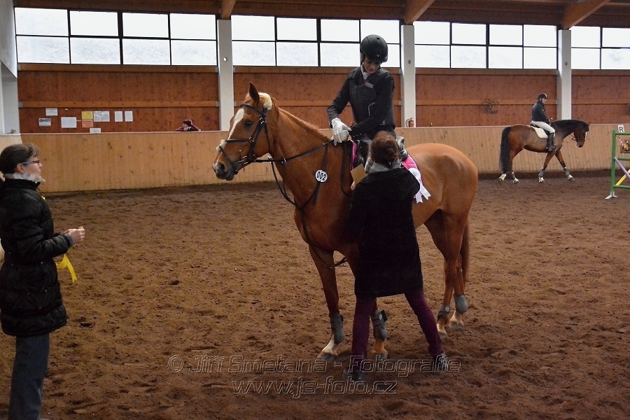 Skoková soutěž stupně „ZL“