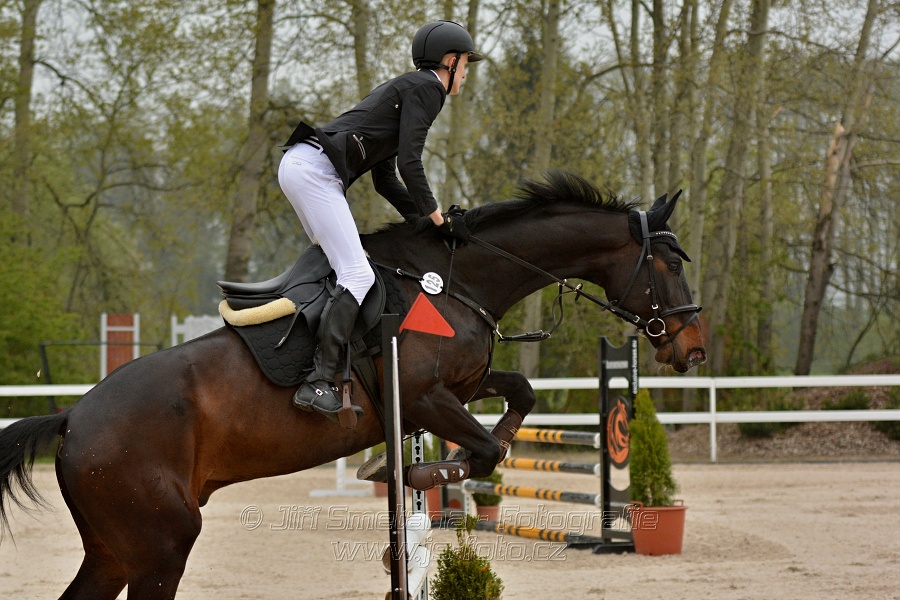 Skoková soutěž Stupňováná obtížnost do 100 cm