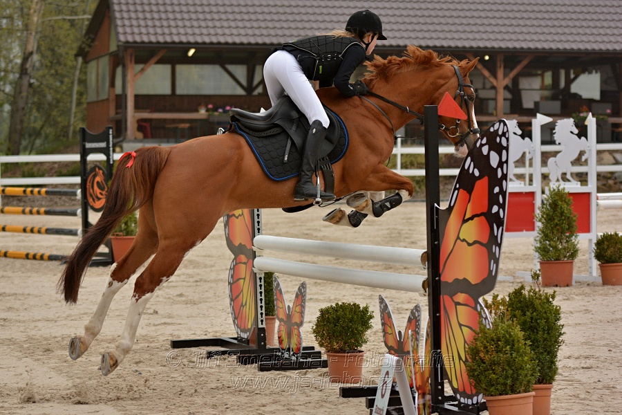 Skoková soutěž Stupňováná obtížnost do 100 cm