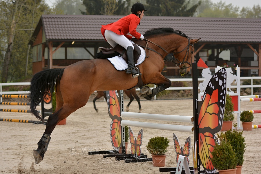 Skoková soutěž Stupňováná obtížnost do 100 cm