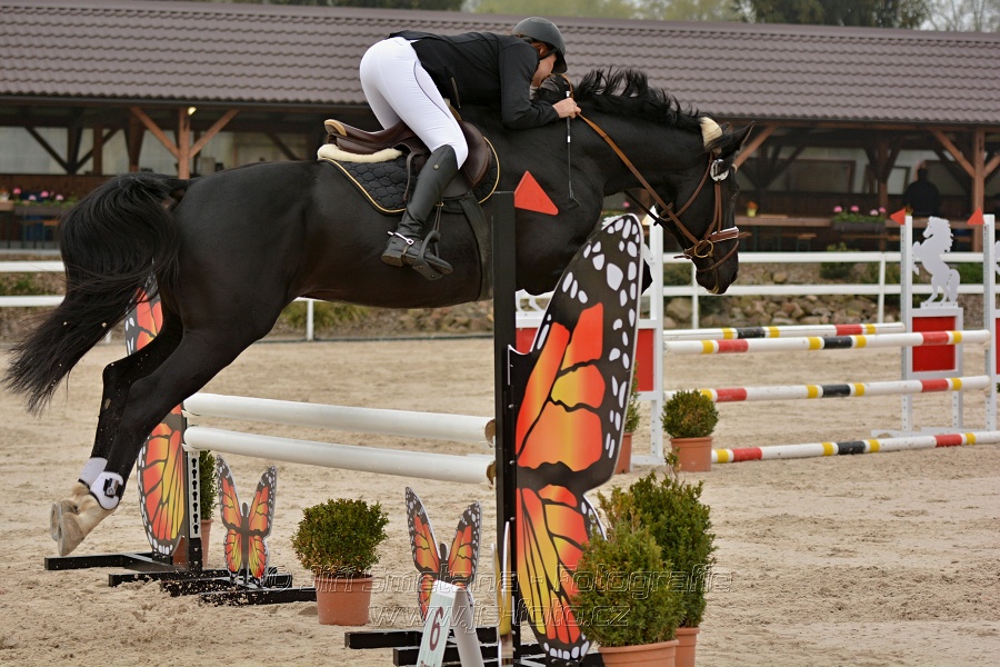 Skoková soutěž Stupňováná obtížnost do 100 cm