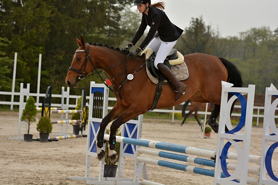 Skoková soutěž Stupňováná obtížnost do 100 cm