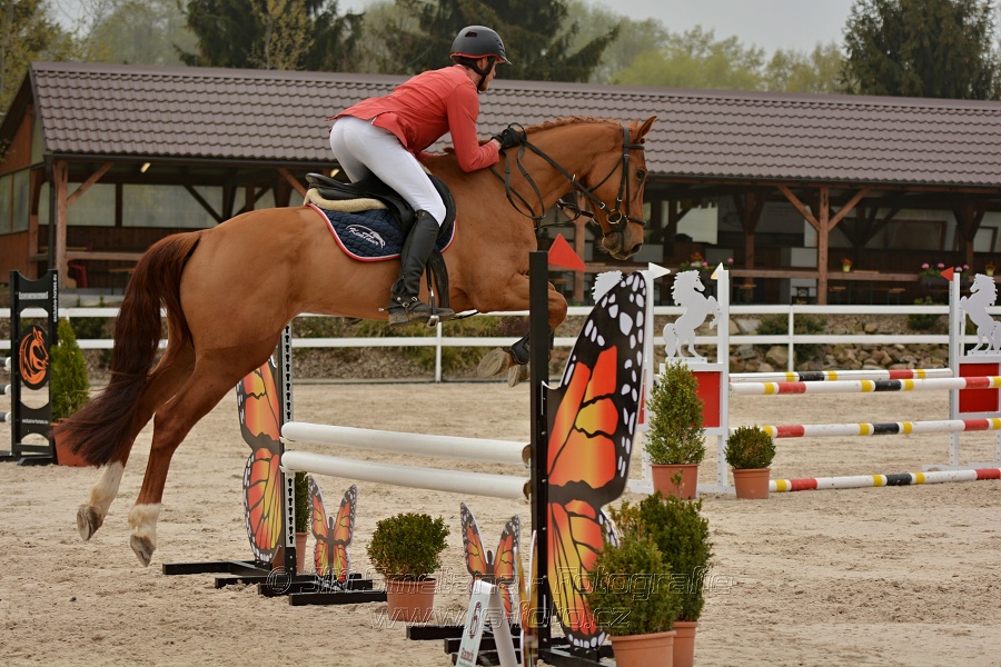 Skoková soutěž Stupňováná obtížnost do 100 cm