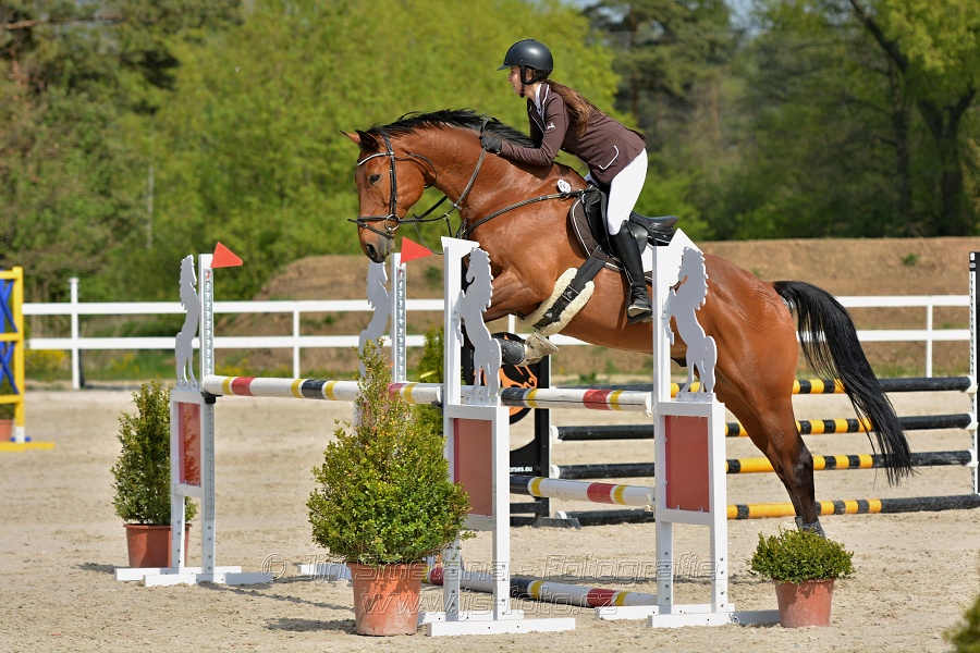 Skoková soutěž stupně „L*“ na čas