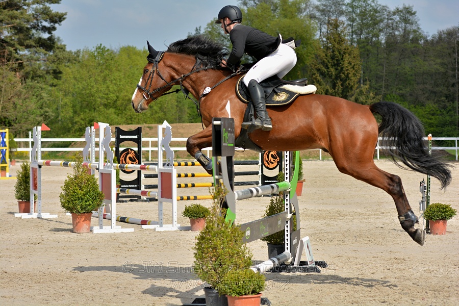 Skoková soutěž stupně „L*“ na čas