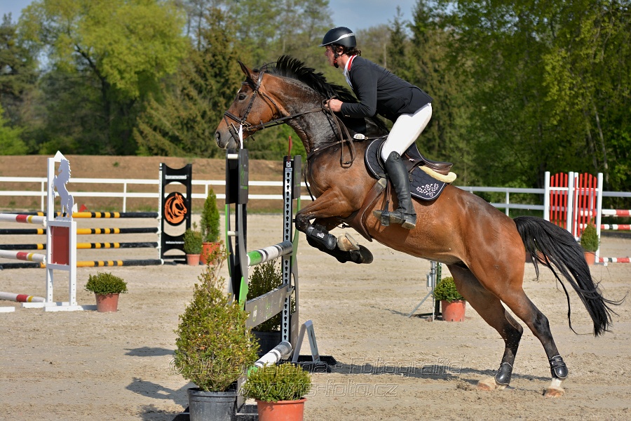 Skoková soutěž stupně „L*“ na čas