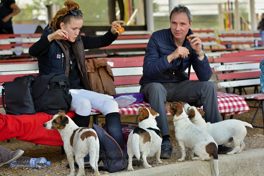 Skoková soutěž stupně „L*“ na čas